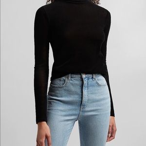 Express Velvet Turtleneck